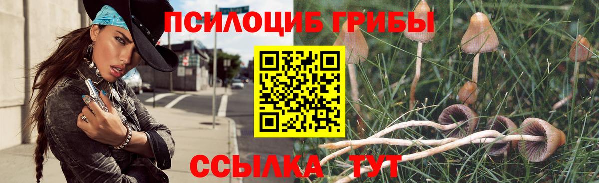 Псилоцибиновые грибы мухоморы  Вход с VPN  купить наркотик  Екатеринбург 
